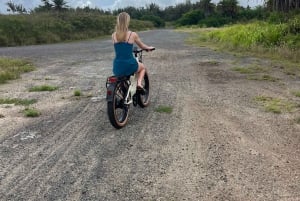 Haleiwa: tour guiado en bicicleta eléctrica por la costa norte con vistas al puerto