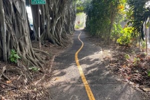 Haleiwa: tour guiado en bicicleta eléctrica por la costa norte con vistas al puerto