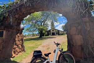 Haleiwa: tour guiado en bicicleta eléctrica por la costa norte con vistas al puerto