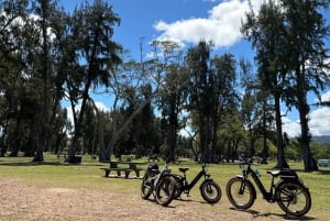 Haleiwa: tour guiado en bicicleta eléctrica por la costa norte con vistas al puerto