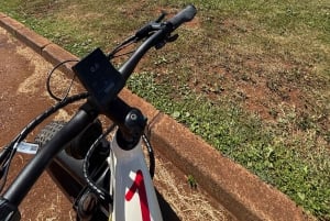 Haleiwa: tour guiado en bicicleta eléctrica por la costa norte con vistas al puerto