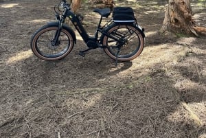 Haleiwa: tour guiado en bicicleta eléctrica por la costa norte con vistas al puerto
