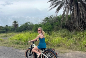 Haleiwa: tour guiado en bicicleta eléctrica por la costa norte con vistas al puerto