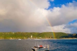 Haleiwa: excursión para avistar ballenas en la costa norte en catamarán.