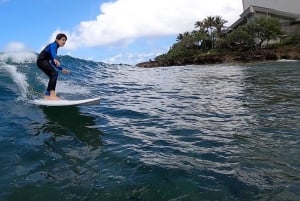 Haleiwa: Surfekurs/guide