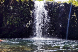 Maui: Halvvägs till Hana Black Sand Beach & Turtles Tour