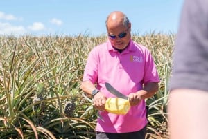 Hali'imaile: Pineapple Farm Tour