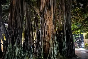 Hallowed Haunts of Honolulu Ghost Tour