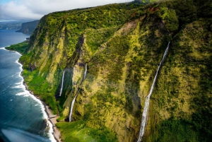 Hamakua Coast Waterfalls and Valleys Safari