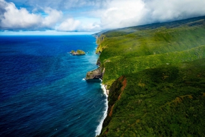 Hamakua Coast Waterfalls and Valleys Safari