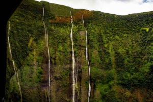 Hamakua Coast Waterfalls and Valleys Safari