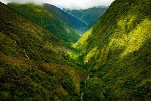 Hamakua Coast Waterfalls and Valleys Safari