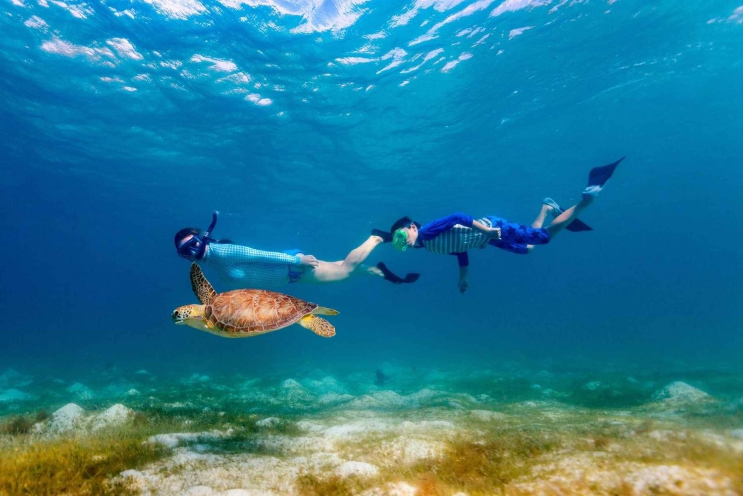Honolulu: Snorkeltur i Hanauma Bay State Park