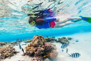 Honolulu : Excursion de plongée en apnée dans le parc d'État de la baie d'Hanauma