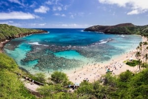 Honolulu: Wycieczka do parku stanowego Hanauma Bay z nurkowaniem z rurką