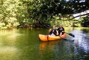 Oahu: Kahana Rainforest River 4-Hour Kayak Rental