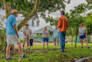 Hawaii: degustazione di 10 barrette di cioccolato e storia del cioccolato
