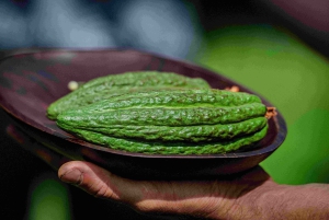Hawaii: degustazione di 10 barrette di cioccolato e storia del cioccolato