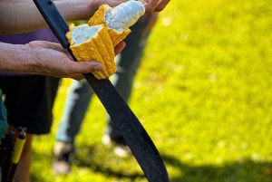 Hawaii: degustazione di 10 barrette di cioccolato e storia del cioccolato