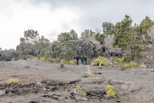 Hawaii: tour privato all-inclusive dei vulcani e delle cascate