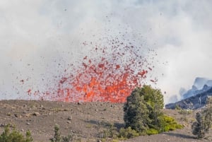 Hawaii: tour privato all-inclusive dei vulcani e delle cascate