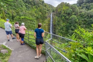Hawaii: tour privato all-inclusive dei vulcani e delle cascate