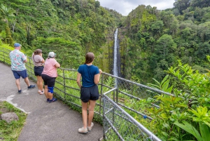 Hawaii: Alt inklusive privat tur til vulkaner og vandfald