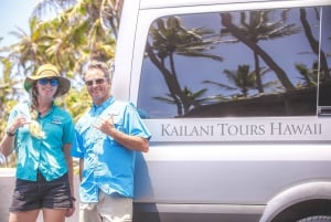 Hawaje: Wycieczka na wulkany Big Island z kolacją i odbiorem z hotelu