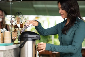 ハワイ：ビッグアイランド火山日帰りツアー（夕食と送迎付き）