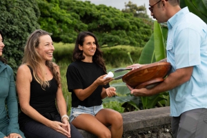 ハワイ：ビッグアイランド火山日帰りツアー（夕食と送迎付き）