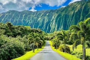 De Waikiki: Excursão pela Ilha de Oahu