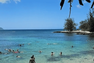 De Waikiki: Excursão pela Ilha de Oahu