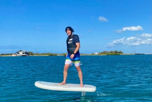 Hawaii: Electric Hydrofoil Surfing Group Lesson
