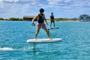 Hawaii: Electric Hydrofoil Surfing Group Lesson