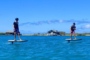 Hawaii: Electric Hydrofoil Surfing Group Lesson