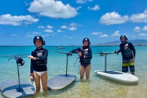 Hawaï: Elektrische draagvleugelboot groepsles surfen