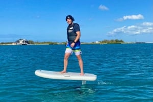 Hawaï: Elektrische draagvleugelboot groepsles surfen