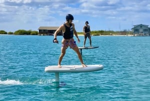 Hawaï: Elektrische draagvleugelboot groepsles surfen