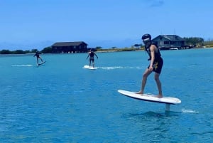 Hawaï: Elektrische draagvleugelboot groepsles surfen