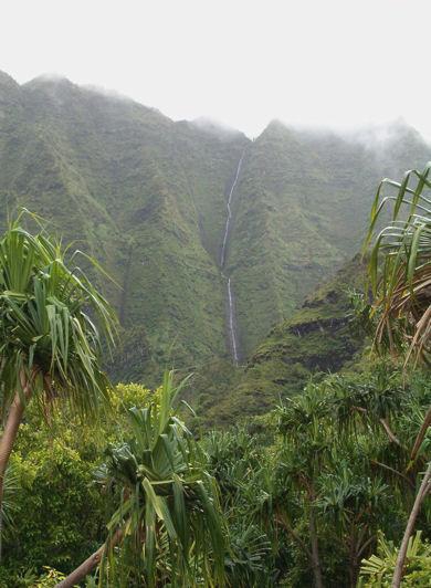Hawaii Expedition & Adventures