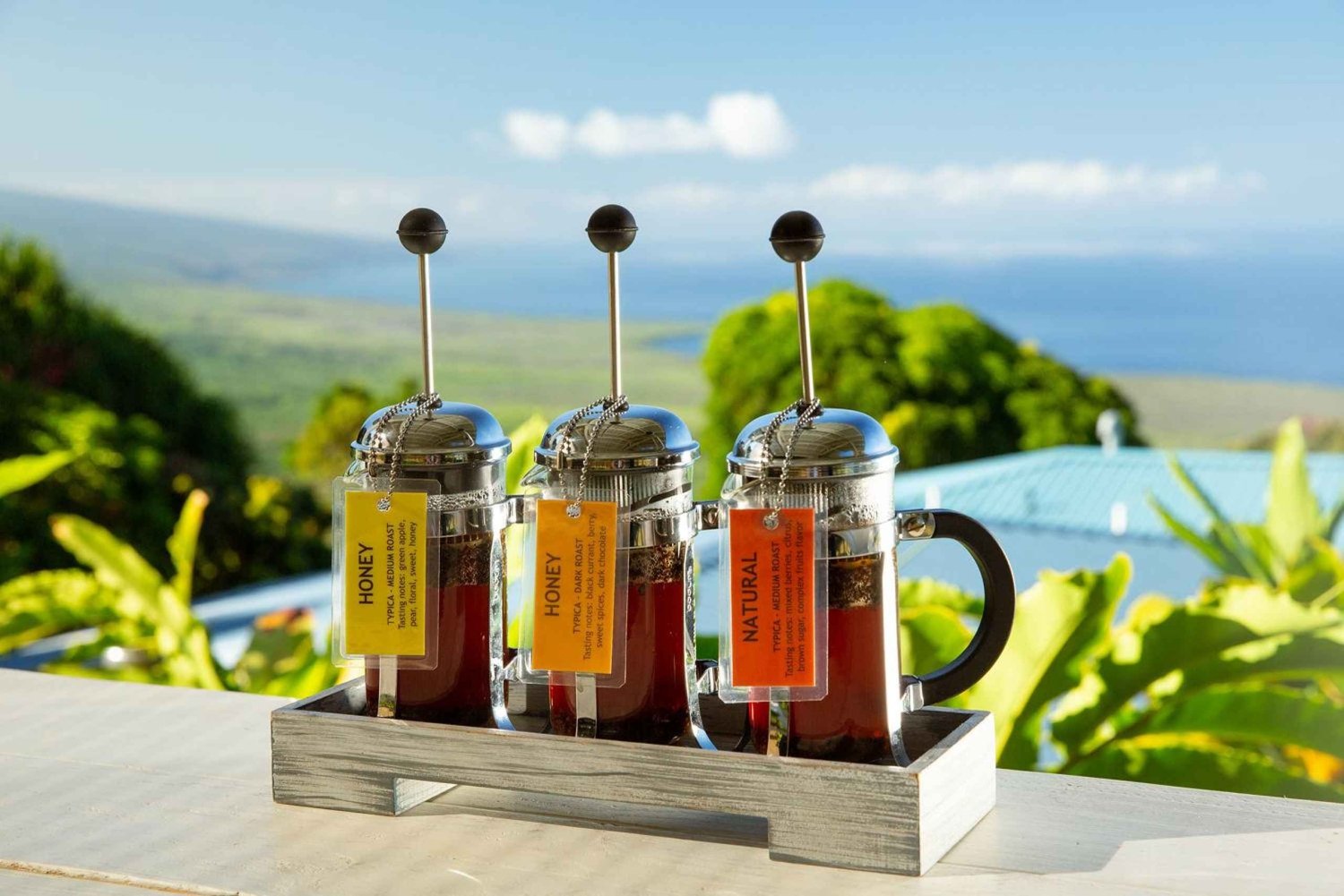 Hawái: visita a la finca cafetera Hala Tree y degustación