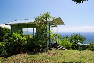 Hawaii: Hala Tree Coffee Farm Tour and Tasting