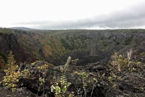 Hawaii Hilo Volcano Day Tour from Oahu Island