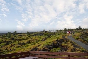 Hawaii Hilo Volcano Day Tour from Oahu Island