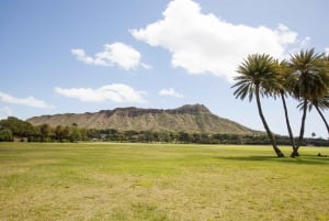 Hawaii: Oahu Attraction Pass with Top-Rated Luau