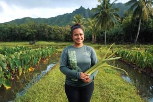 Oahu Explorer Pass : Économisez jusqu'à 50 % - Comprend Pearl Harbor