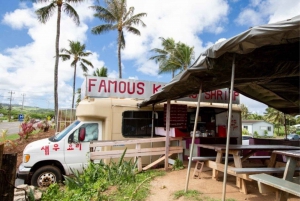 Hawaii : Oahu Island Sightseeing och mat Combo Tour