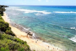 Havaiji : Oahu Island Sightseeing ja ruoka Combo Tour
