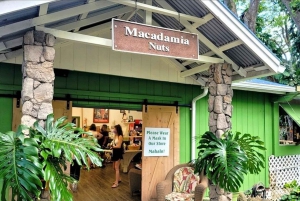 Hawaii: Oahu Island Sightseeing and Food Combo Tour
