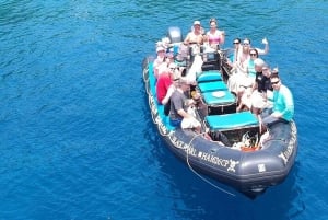 Hawai Excursión privada de snorkel con almuerzo y bebidas
